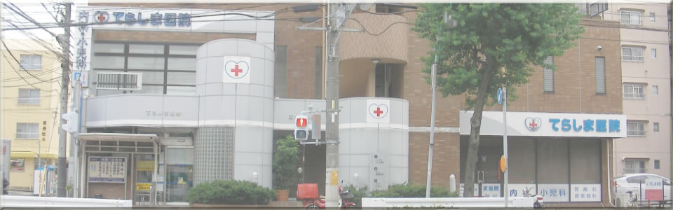 てらしま医院　名古屋市天白区　予防接種